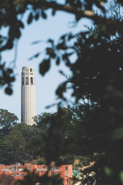 Coit Tower & Little Italy Landmark Walking Tour - The Value of the Tour