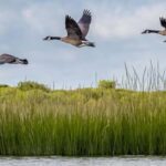 Cold Spring Harbor: Guided Kayak Tour with Instruction - Value and Practical Considerations