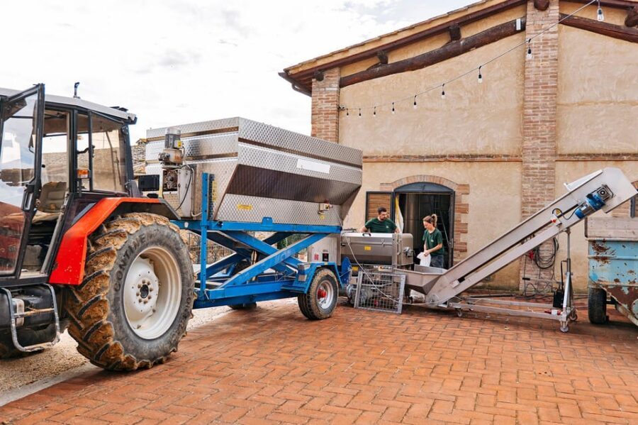 Colle Val d'Elsa: tour and a tasting of an authentic farm - The Value in Context