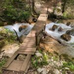 Collepardo: Trisulti Charterhouse and Hermitage Guided Hike - Who Will Love This Tour?