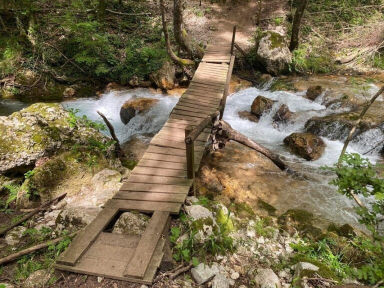 Collepardo: Trisulti Charterhouse and Hermitage Guided Hike - Who Will Love This Tour?