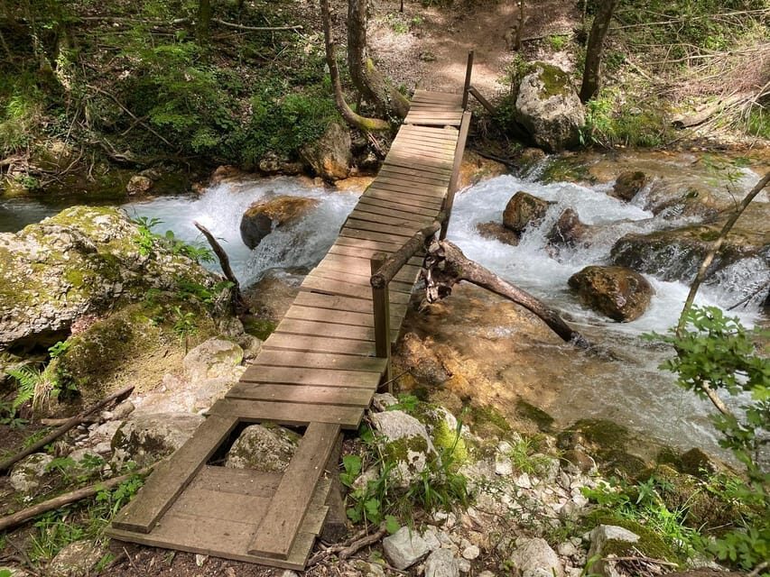 Collepardo: Trisulti Charterhouse and Hermitage Guided Hike - Who Will Love This Tour?