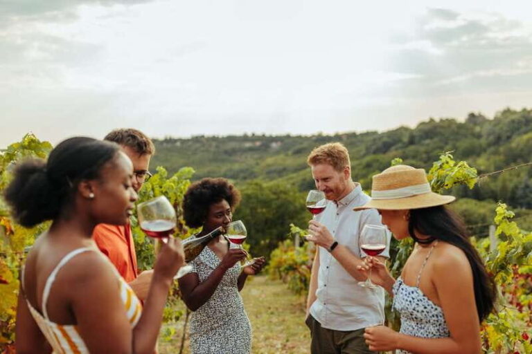 Collingwood: Blue Mountains Wine and Cider Tasting Tour - Value and Practical Details