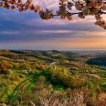 Collio: Cividale Del Friuli and Wine Tastings from Trieste - Price and Value