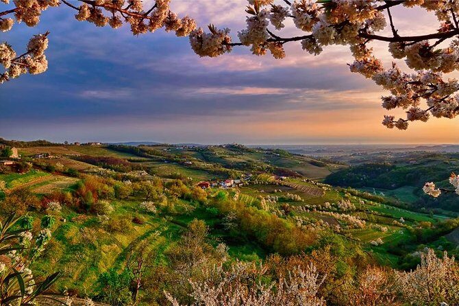 Collio: Cividale Del Friuli and Wine Tastings from Trieste - Price and Value