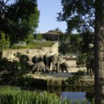 Cologne: Cologne Zoo and Aquarium Entry Ticket - Practical Details and Visitor Experience
