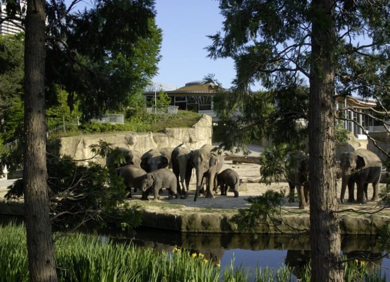 Cologne: Cologne Zoo and Aquarium Entry Ticket - Practical Details and Visitor Experience