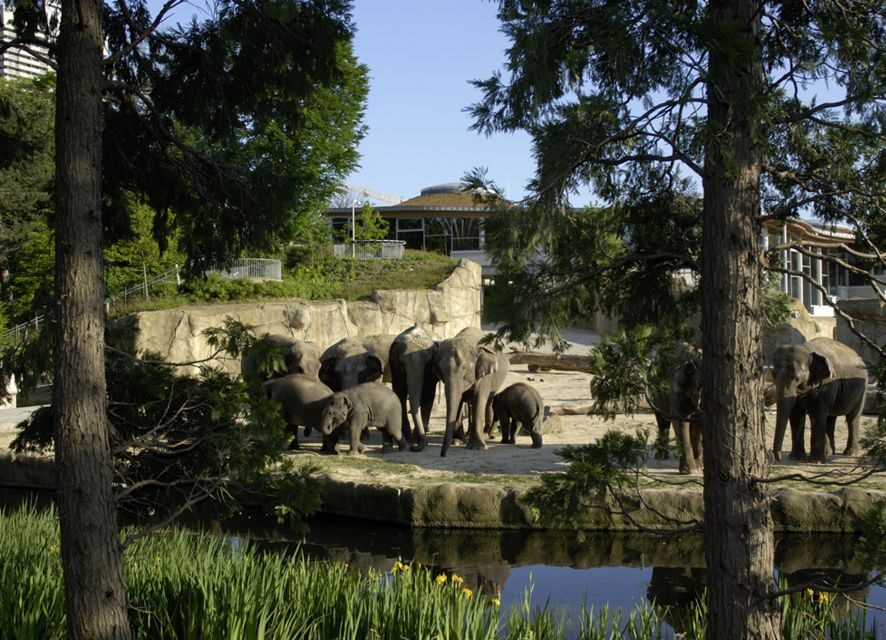 Cologne: Cologne Zoo and Aquarium Entry Ticket - Practical Details and Visitor Experience