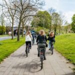 Cologne: Ehrenfeld Street Art Bike Tour - Who Will Love This Tour?