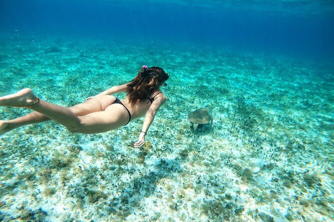 Colombia, Palancar & Cielo Cozumel Snorkel Tour - Detailed Itinerary Breakdown