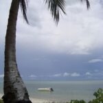 Colonial North Coast beaches - Full-Day Tour - A Deep Dive into the Experience