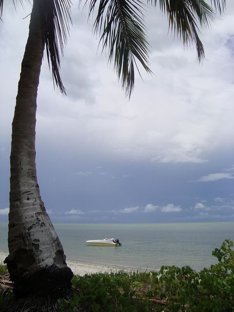 Colonial North Coast beaches - Full-Day Tour - A Deep Dive into the Experience
