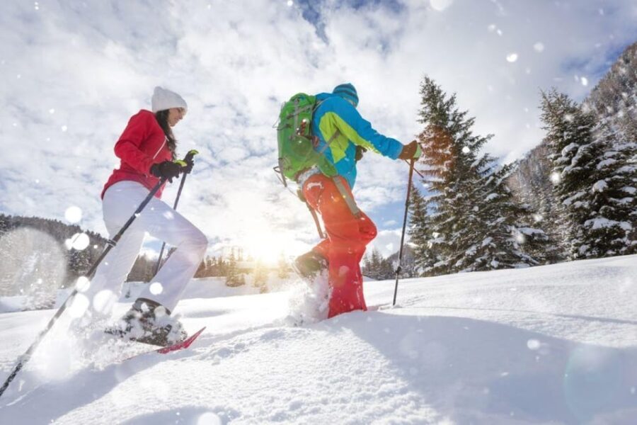 Colorado Backcountry: Guided Snowshoe Tour - What to Expect on Your Snowshoeing Adventure