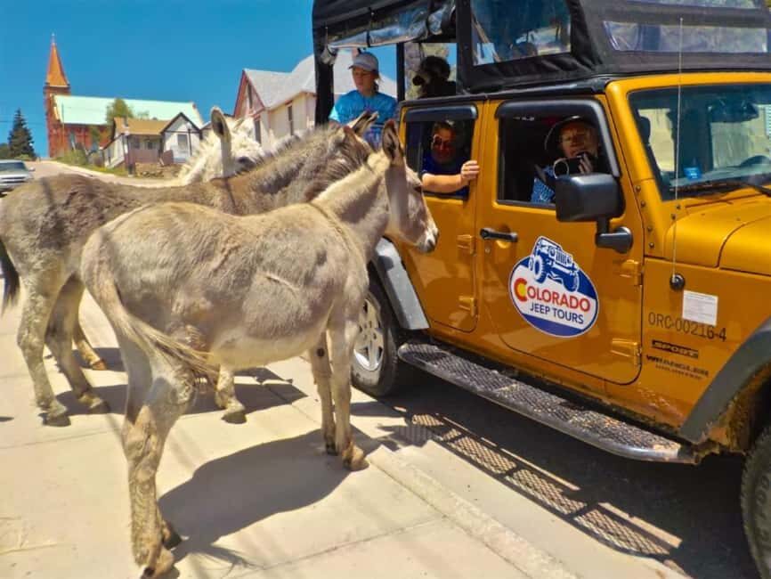 Colorado Jeep Tours - Gold Belt Tour - A Deep Dive into the Gold Belt Tour Experience
