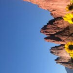 Colorado Springs: Garden of the Gods & Historic Town Tour - Why This Tour Works Well