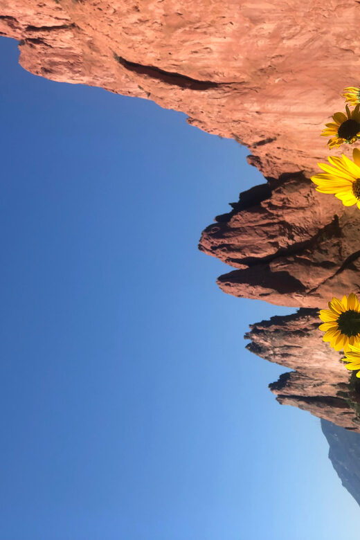 Colorado Springs: Garden of the Gods & Historic Town Tour - Why This Tour Works Well