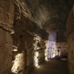 Colosseum Underground Tour and Access to Forum and Palatine Hill - The Sum Up