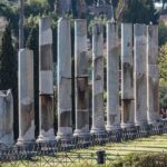 Colosseum with Gladiator Arena Floor, Forum & Palatine Hill Tour - Who Will Love This Tour?