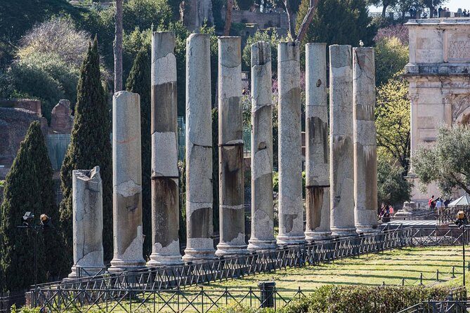 Colosseum with Gladiator Arena Floor, Forum & Palatine Hill Tour - Who Will Love This Tour?