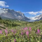 Columbia Icefield: Guided Glacier Hike - A Deep Dive into the Columbia Icefield Guided Glacier Hike