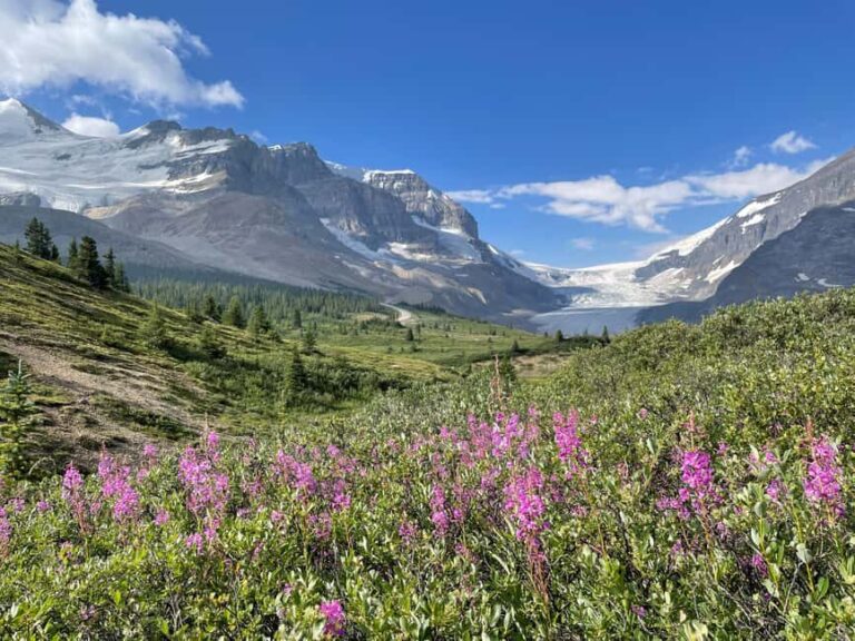 Columbia Icefield: Guided Glacier Hike - A Deep Dive into the Columbia Icefield Guided Glacier Hike