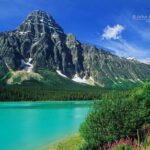 Columbia icefield, Skywalk, Waterfowl, Bow & Peyto Lake Tour - Who Should Consider This Tour?