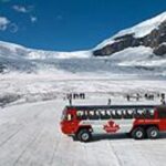 Columbia Icefield Tour with Glacier Skywalk from Jasper - Who Will Love This Tour?