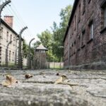 Combined: Auschwitz Birkenau and Salt Mine private chauffeur from Krakow - A Detailed Look at the Tour Experience