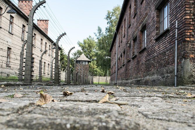 Combined: Auschwitz Birkenau and Salt Mine private chauffeur from Krakow - A Detailed Look at the Tour Experience