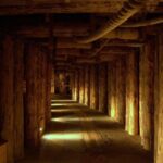 Combined tour Auschwitz Birkenau guided & Salt Mine guided from Krakow - In-depth look at each stop