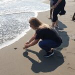 Combo 6 Hr Tour All City Highlights Divers Baby Turtle Release - The Sum Up