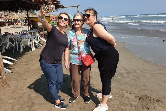 Combo 6 Hr Tour All City Highlights Divers Baby Turtle Release - Why This Tour Offers Great Value