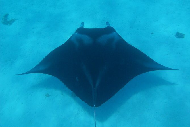 Combo Diving and Snorkeling Full Day Tour - Frequently Asked Questions