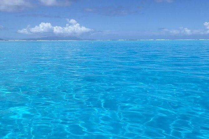 Combo Diving and Snorkeling Half-Day Tour - Frequently Asked Questions (FAQs)