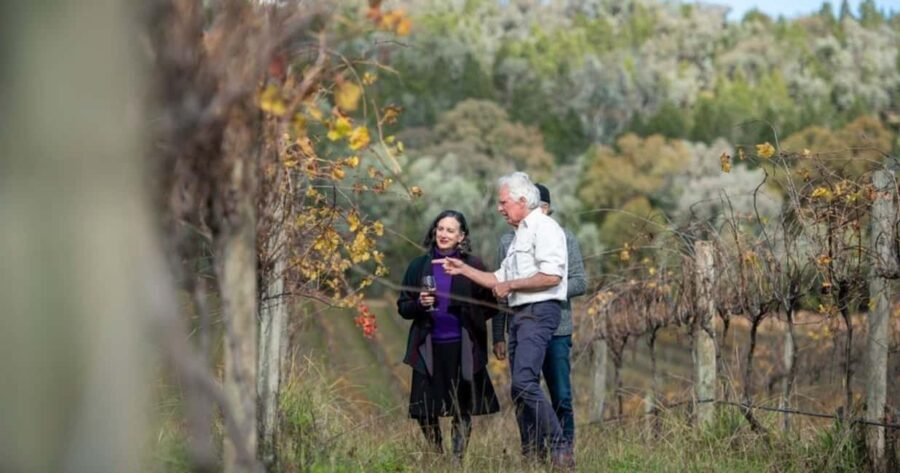 Combo: Hunter Valley Tour + Sydney Hop-on-Hop-off Bus Ticket - Who Will Love This Tour?