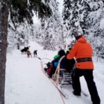 Combo TourHusky and Reindeer Sledding Ride in Levi - What the Reviews Reveal
