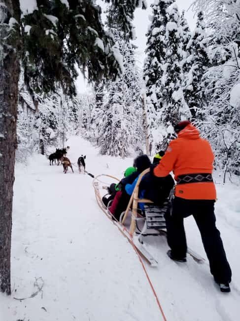 Combo TourHusky and Reindeer Sledding Ride in Levi - What the Reviews Reveal