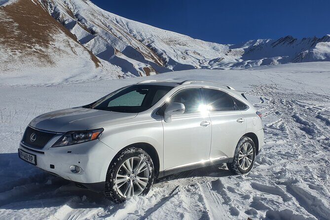 Comfortable,fast and safe private transfer from airport - Who Should Book This Transfer?