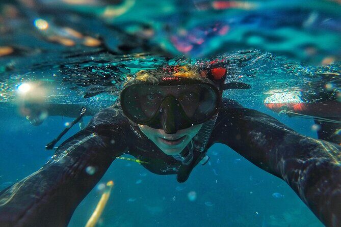 Comino Guided Snorkeling Experience - A Closer Look at What To Expect