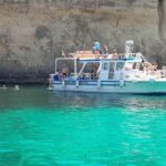 Comino: Private Boat Trips, Swimming stops and Caves Tours - Who Will Love This Tour?