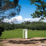 Commanderie de Peyrassol: Guided tour of the sculpture park by golf cart - Final Thoughts