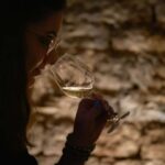 Commanderie de Peyrassol: Guided tour of the wine cellars - A Closer Look at the Experience