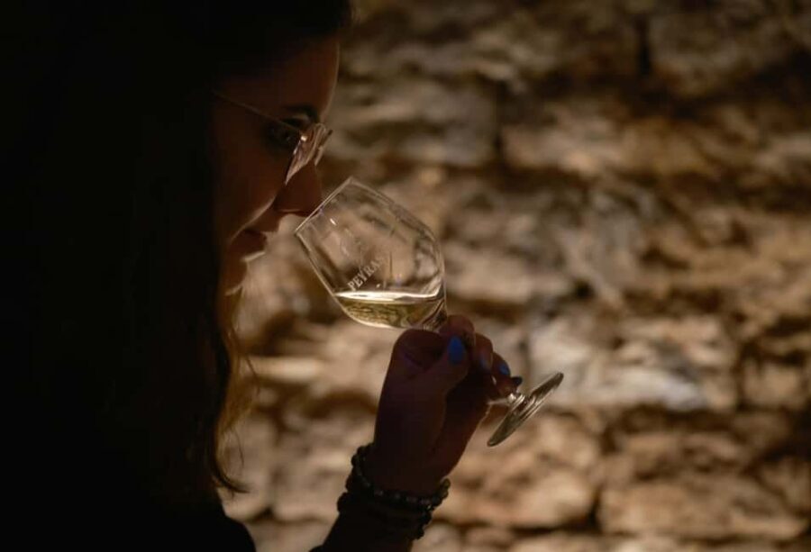 Commanderie de Peyrassol: Guided tour of the wine cellars - A Closer Look at the Experience