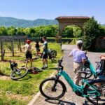Como: Lake Como and Swiss Vineyards Ebike Tour - The Complete Guide to the Lake Como and Swiss Vineyards Ebike Tour
