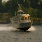 Comox: 4 Hour Whale and Wildlife Watching Tour - An In-Depth Look at the Experience