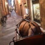 Complete tour of the city and walls - The Charm of Luigi the Horse