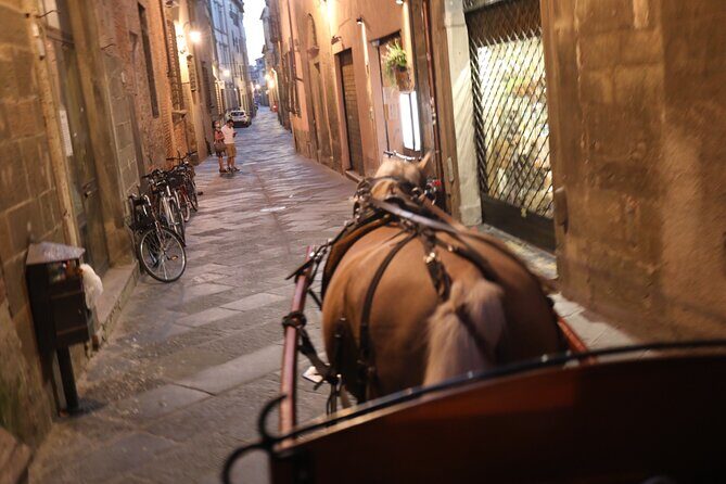 Complete tour of the city and walls - The Charm of Luigi the Horse