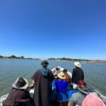 Comporta to Alcacer do Sal boat trip - Exploring the Sado River and Alcacer do Sal: What You Can Expect