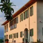 Conegliano: Prosecco Hills and Vineyards tour - A Deep Dive into the Conegliano Prosecco Hills Tour