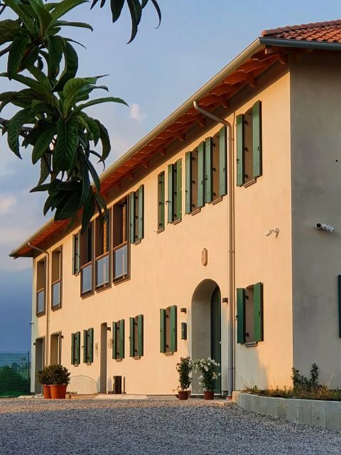 Conegliano: Prosecco Hills and Vineyards tour - A Deep Dive into the Conegliano Prosecco Hills Tour